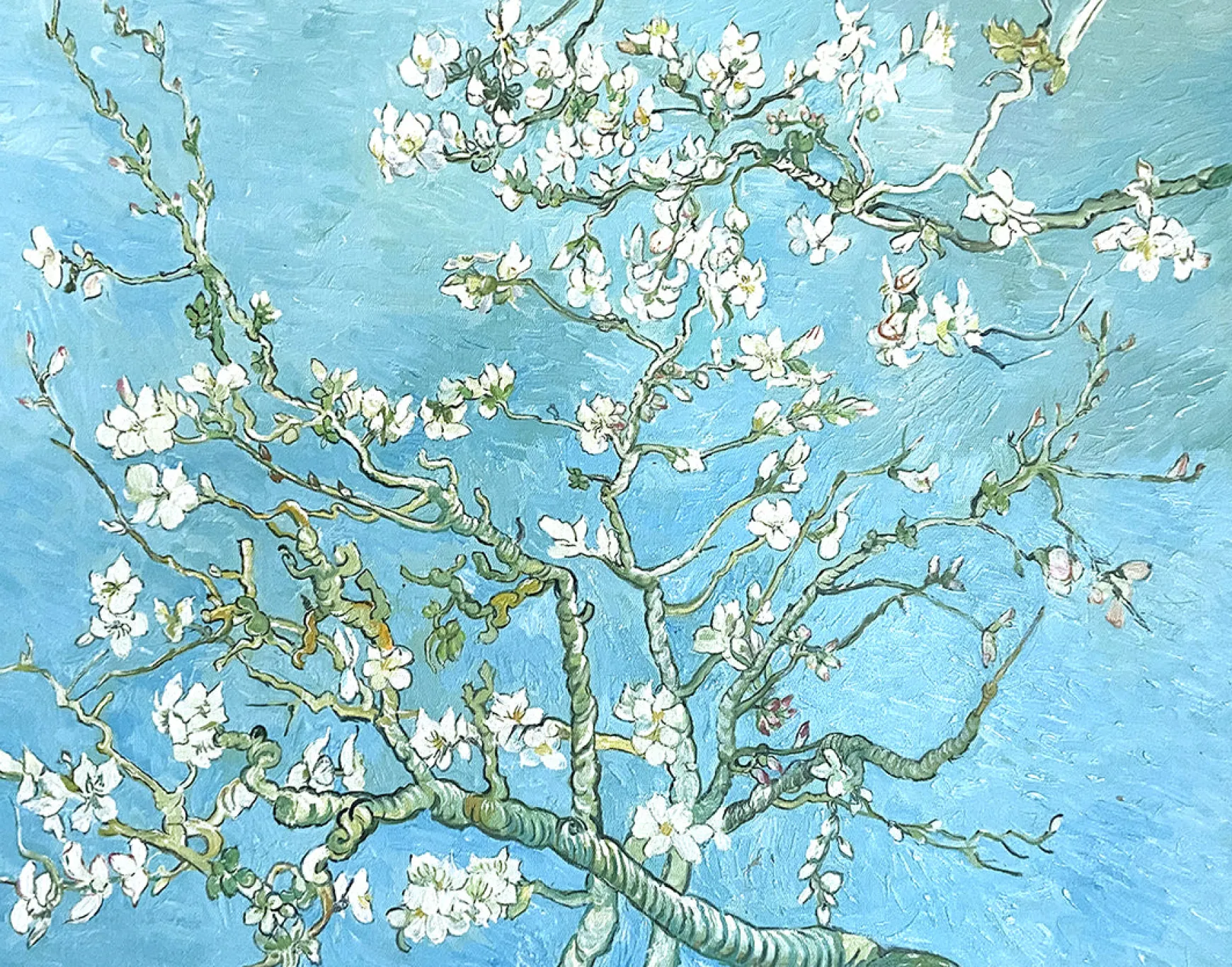 Galerie Mont Van Gogh<Amandier en fleurs - Vincent Van Gogh