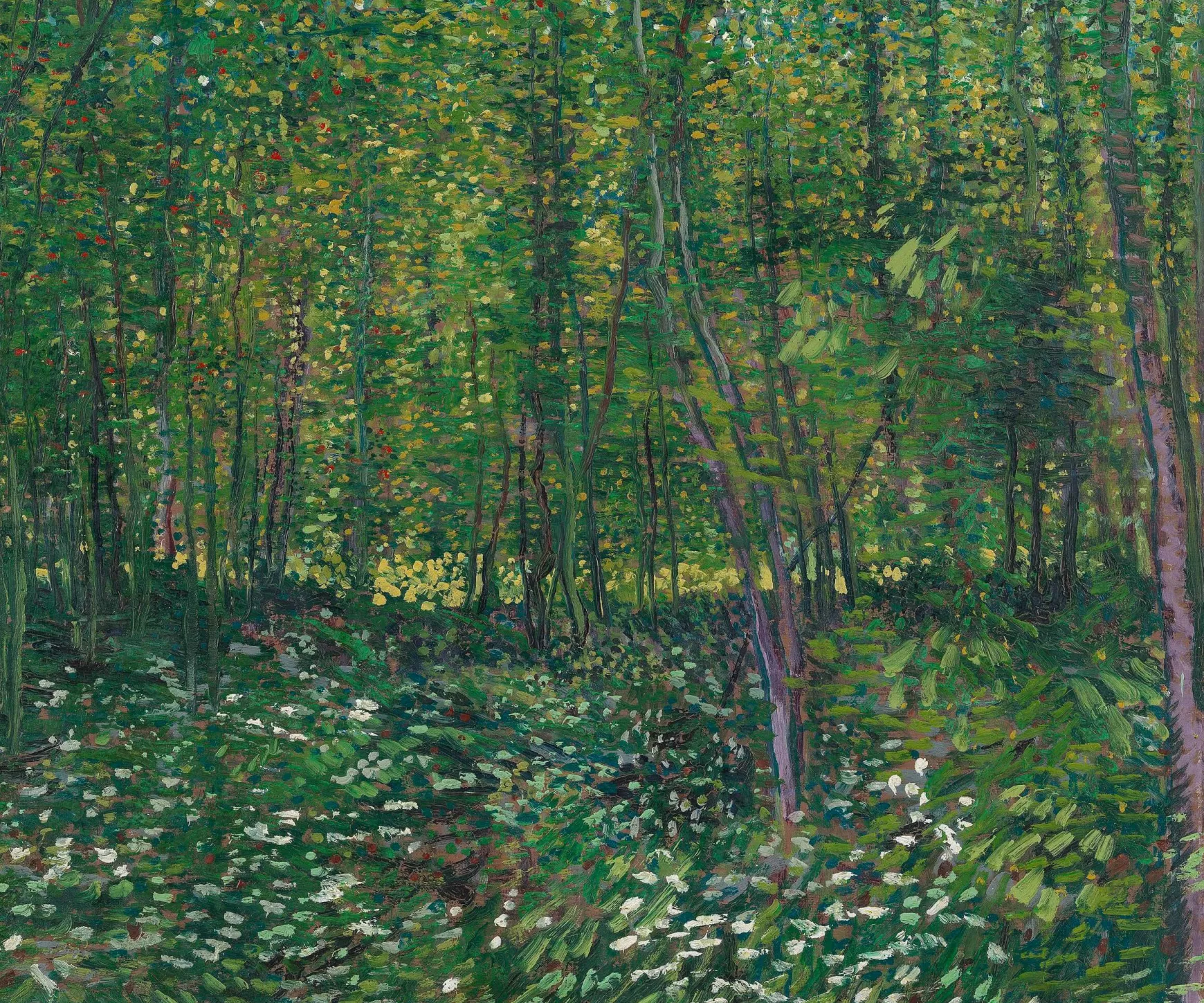 Galerie Mont Van Gogh<Arbres et sous-bois - Vincent Van Gogh