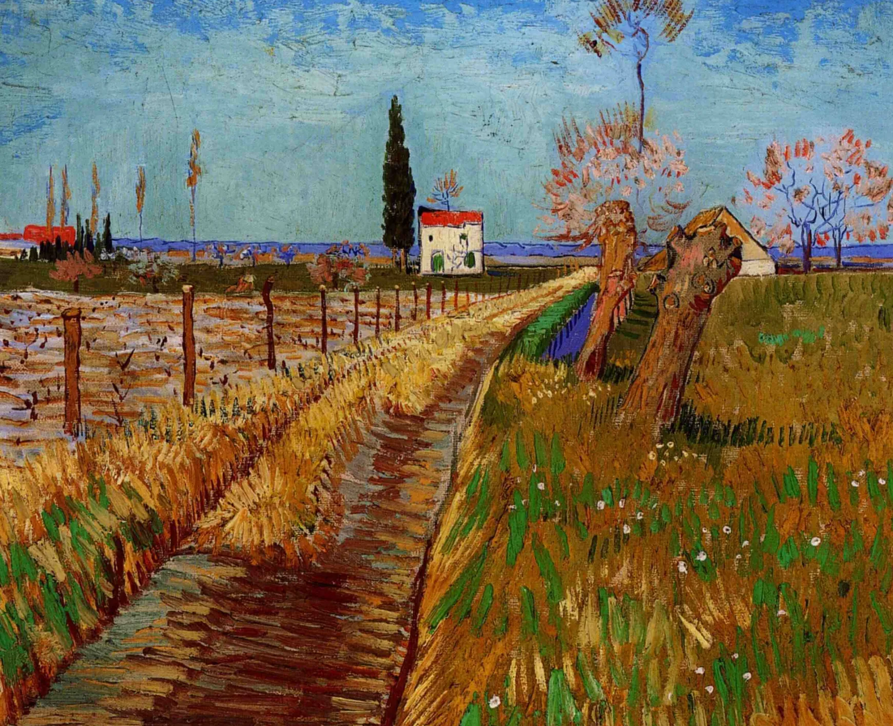 Galerie Mont Van Gogh<Chemin à travers un champ de saules - Vincent Van Gogh