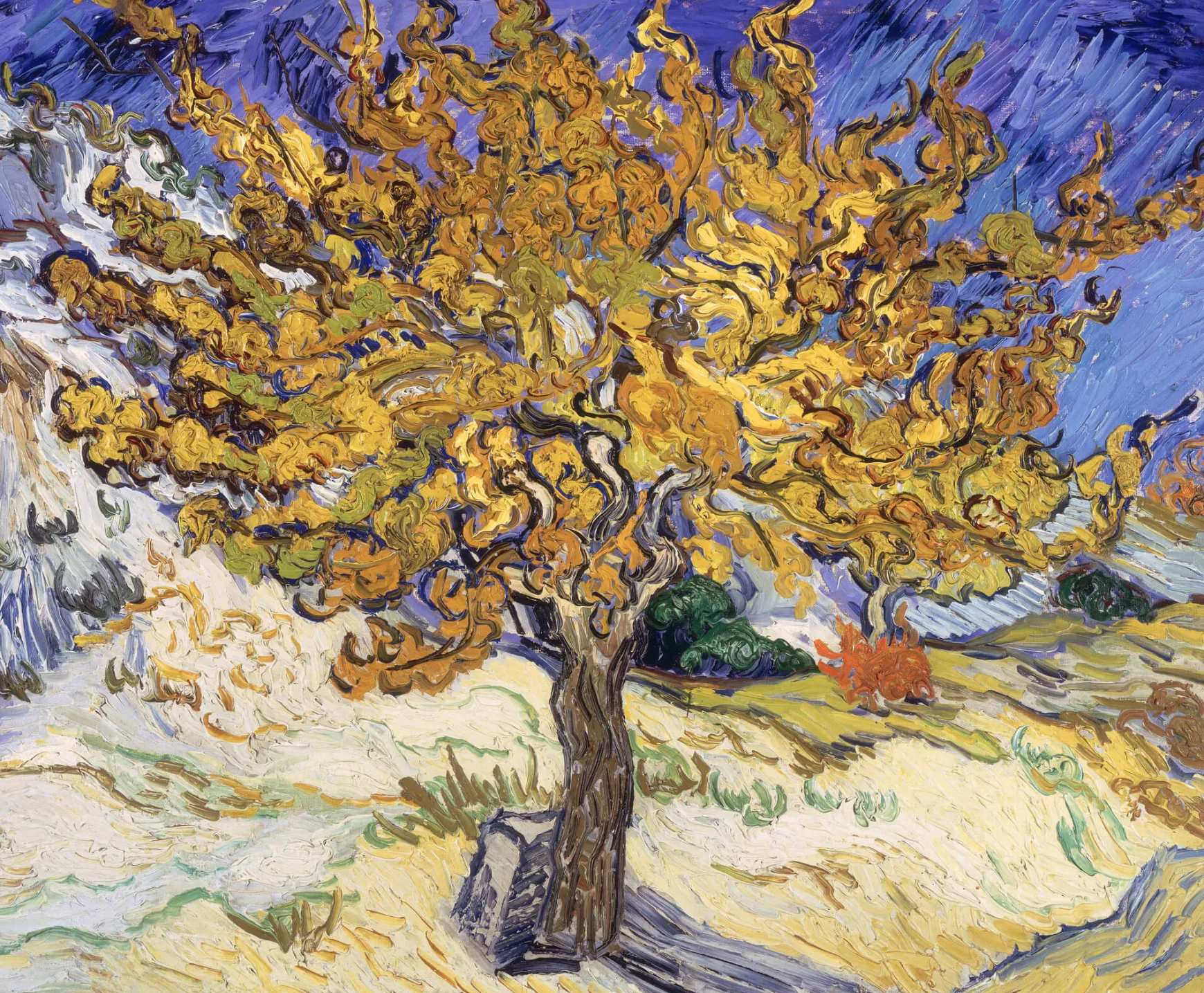 Galerie Mont Van Gogh<Le Mûrier - Vincent Van Gogh