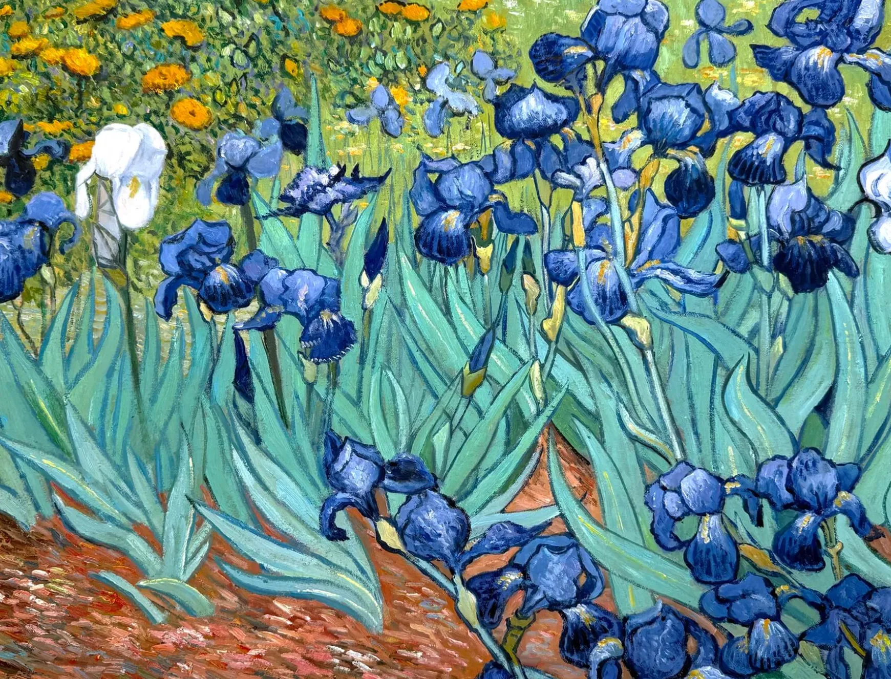 Galerie Mont Van Gogh<Les Iris - Vincent Van Gogh