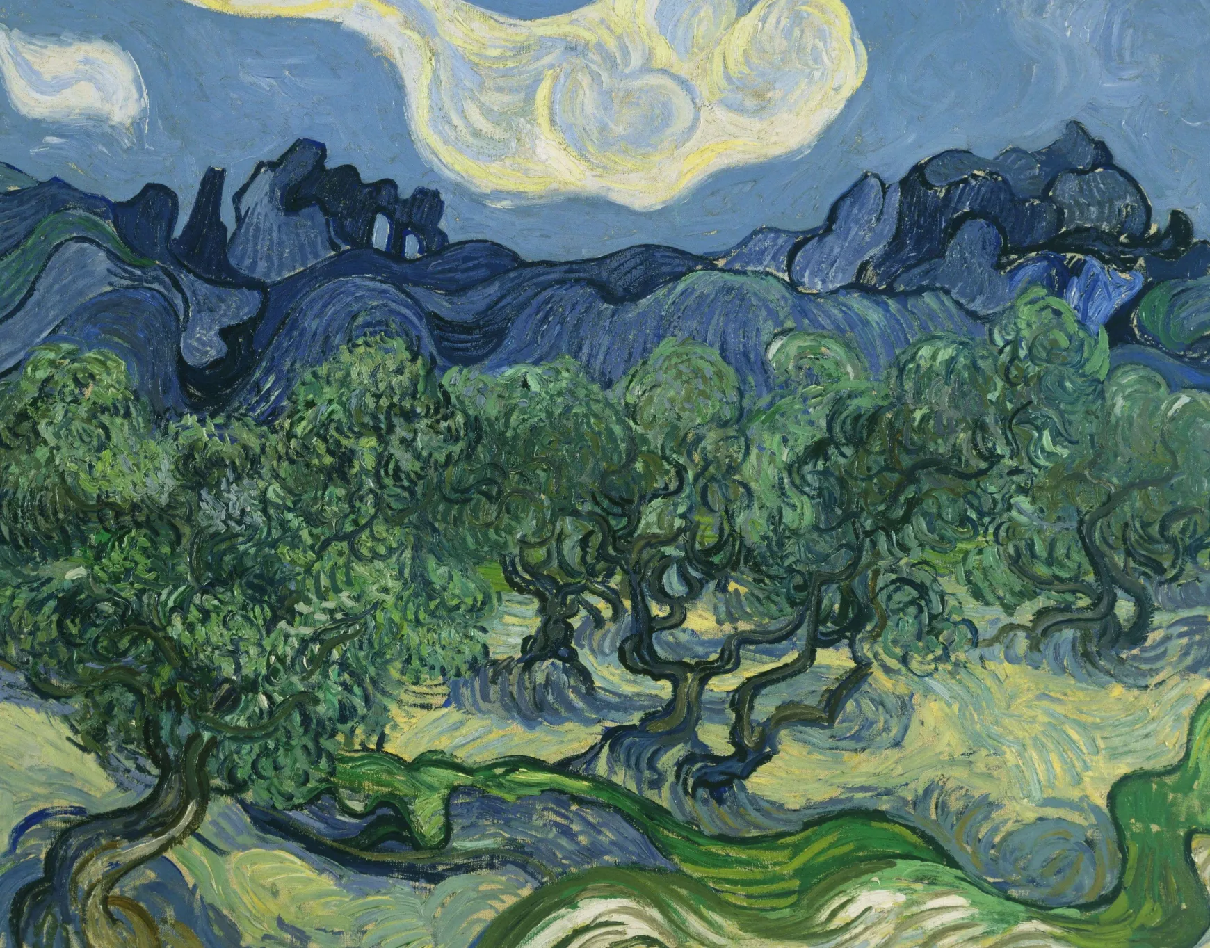 Galerie Mont Van Gogh<Oliviers avec les Alpilles en arrière-plan - Vincent Van Gogh