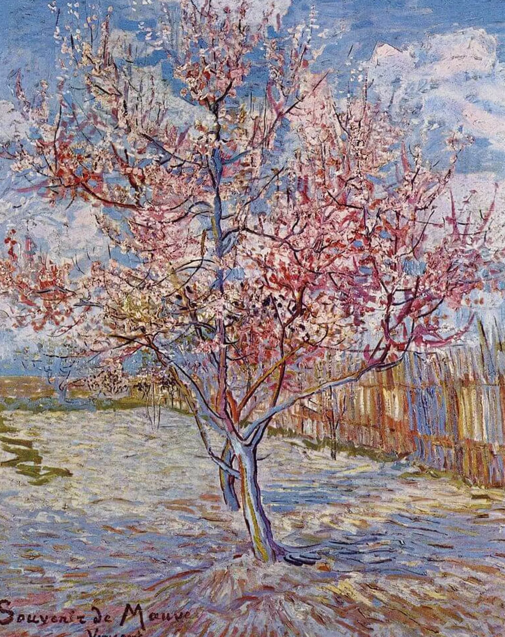 Galerie Mont Van Gogh<Pêcher en fleur (Souvenir de Mauve) - Vincent Van Gogh