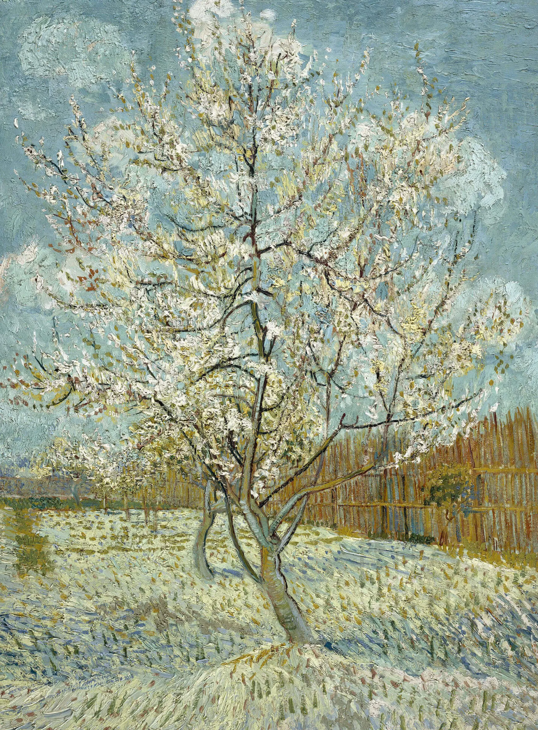 Galerie Mont Van Gogh<Pêcher en fleurs - Vincent Van Gogh