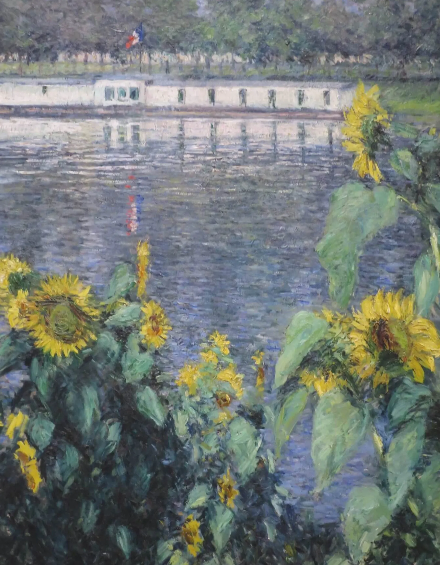 Galerie Mont Caillebotte<Tournesols au bord de la Seine - Gustave Caillebotte